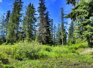 90011 E Morrison Ln, Government Camp, OR