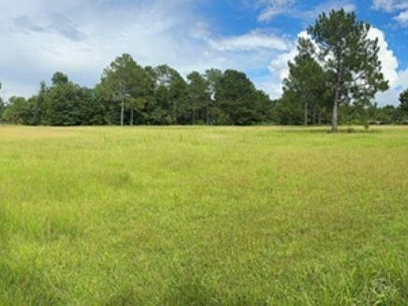 4th image of 29139 Loper Rd