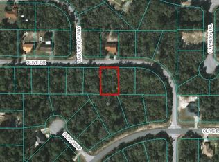 00 Olive Dr, Ocala, FL 34472