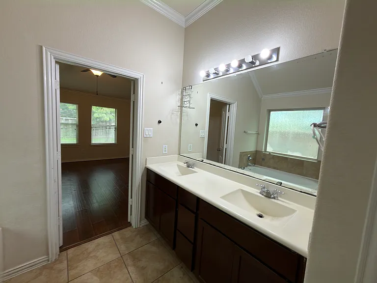 Master bathroom, connected to master bedroom and walk-in closet