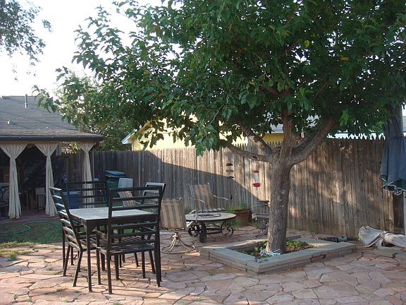 nice tree