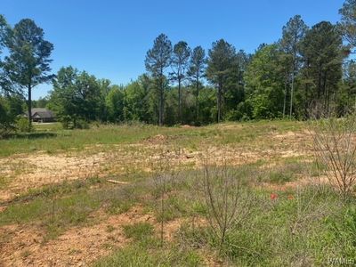0 Oakridge Mnr, Vance, AL, 35490