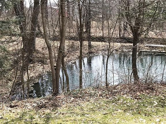 Pond on property just waiting for you to stock it with fish!