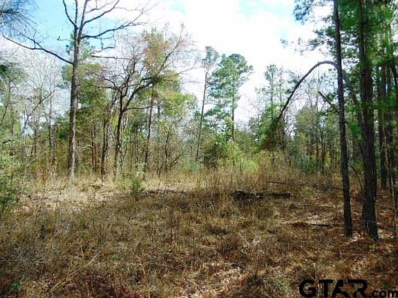 3rd image of Highway 79 Tract #3