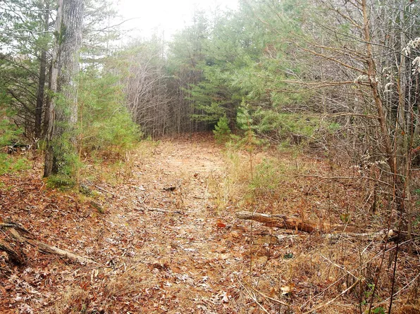 Tilley Rd, Tellico Plains, TN 37385