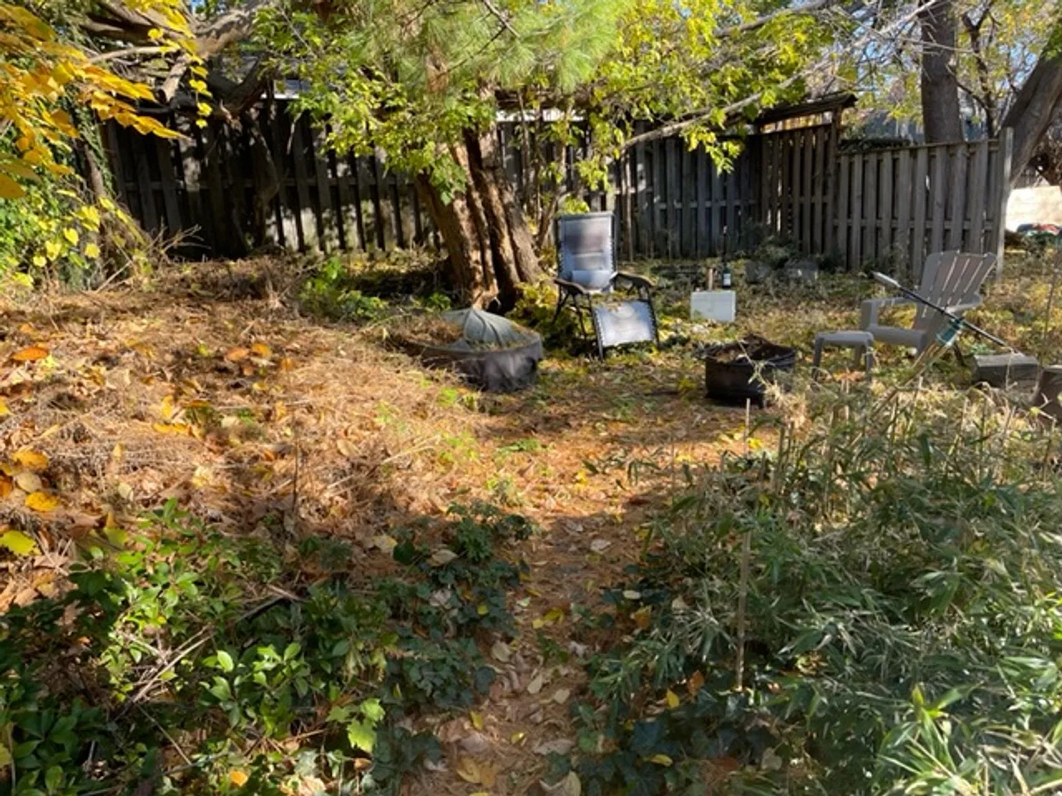 Tickle Realty - NOTA One Bedroon - On site laundry, One Parking Spot — Photo 2