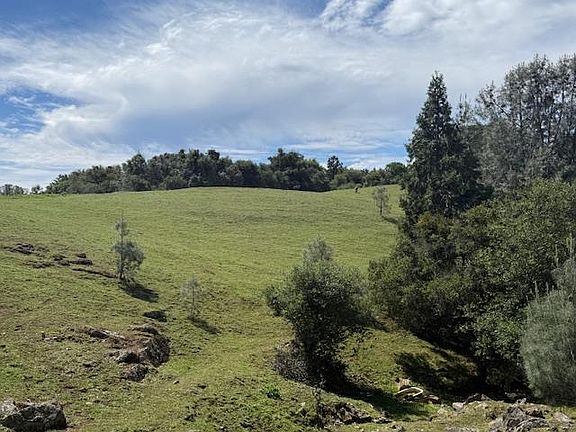 5th image of Raquepaw Ln
