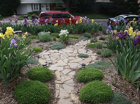 Fully xeriscaped with drip system for watering