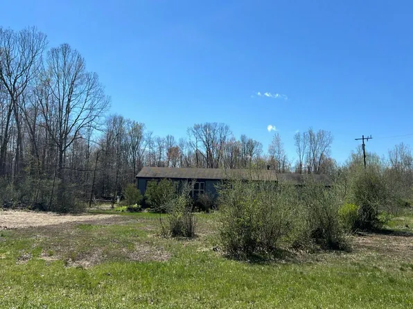 51105 Arkona Rd, Belleville, MI 48111