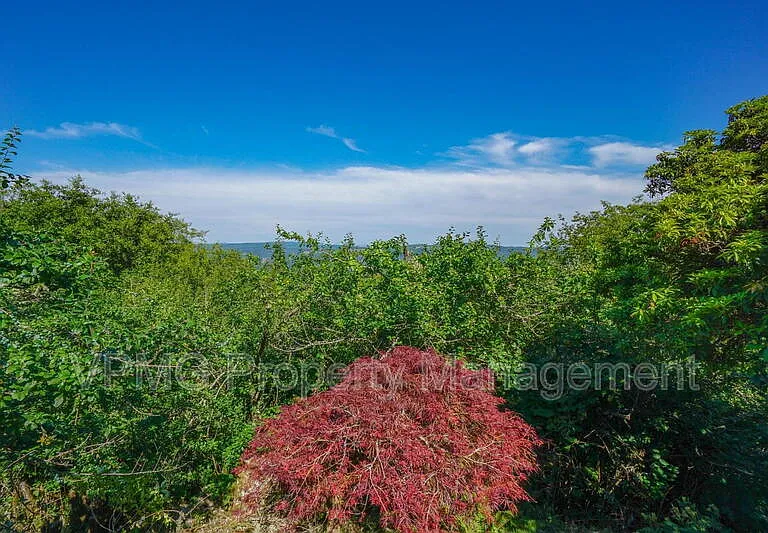 3956 Columbia Heights Rd — Photo 44