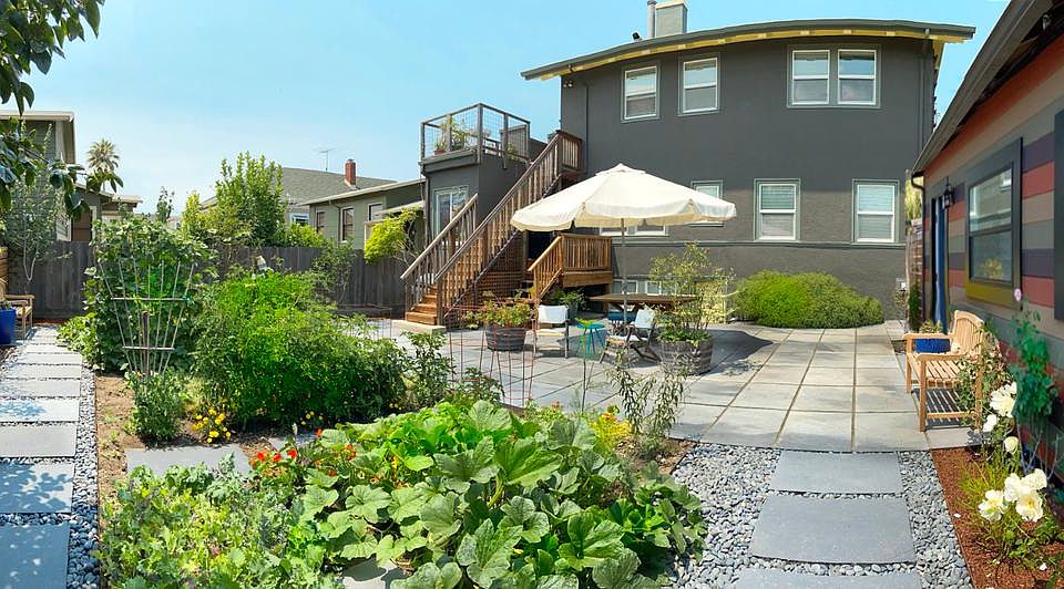 Shared Garden looking North.