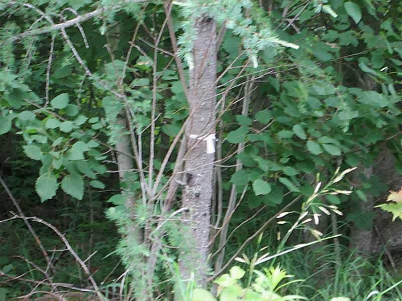 2nd image of Lot 6 Anderson Farm Road Subdivision