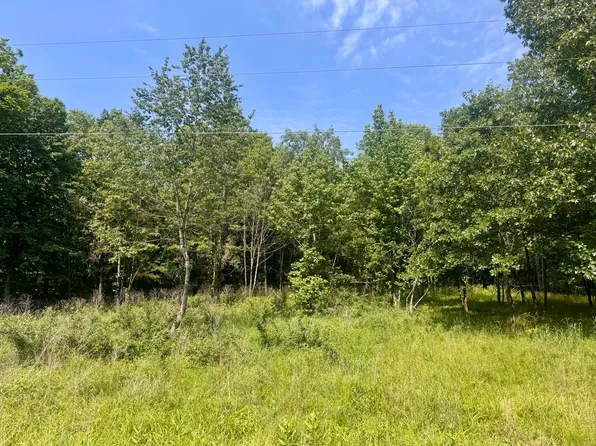 0 Shawnee Dr, Goreville, IL 62939