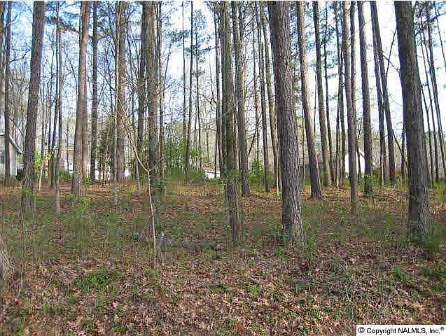 2nd image of Hickory Hills Dr