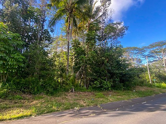 5th image of Kawakawa St Lot 21