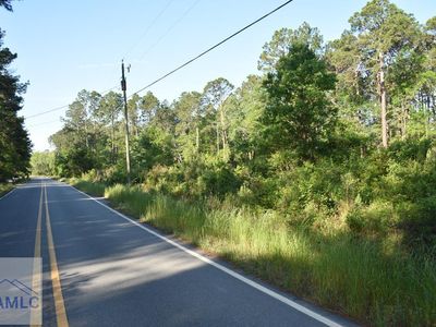 Levy A Ray Rd NE, Ludowici, GA, 31316