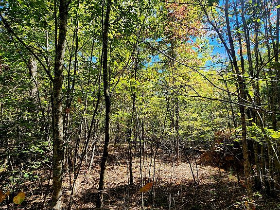 5th image of 0 Long Branch Rd #179B