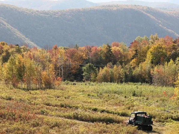 8 Thayer Rd, Monroe, MA 01350