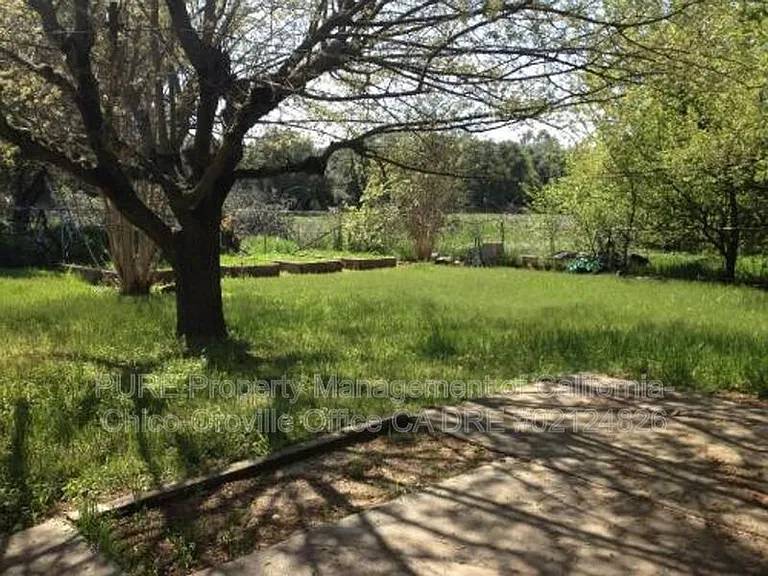 1265 Zack Cir — Photo 13