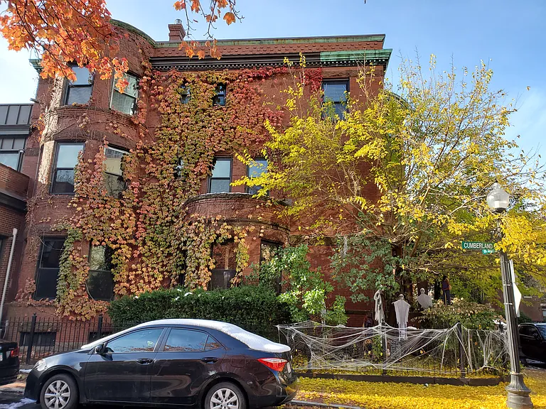 9 Durham St #2 — Photo 18