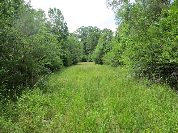 5th image of 50 Dogwood Ln Lot Wp001