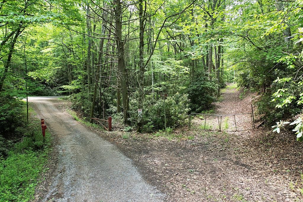 0 Genes Ln, Bastian, VA 24314 MLS 53185 Zillow