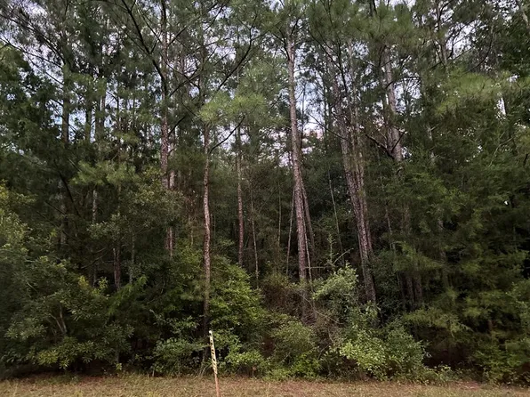 0 Osteen Dr, Ozark, AL 36360