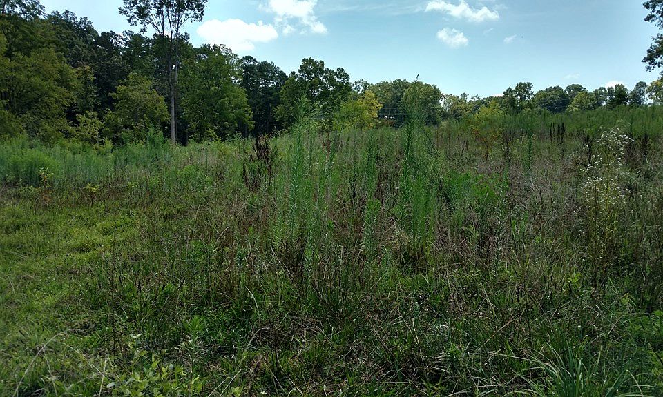 2nd image of LOT 6 Shady Ln