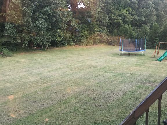 View from the Kitchen Window