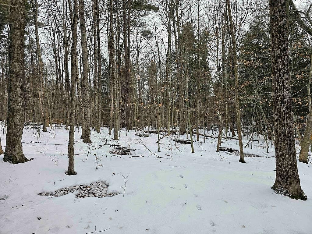 0 Roe Rd, Willseyville, NY 13864 MLS 273447 Zillow