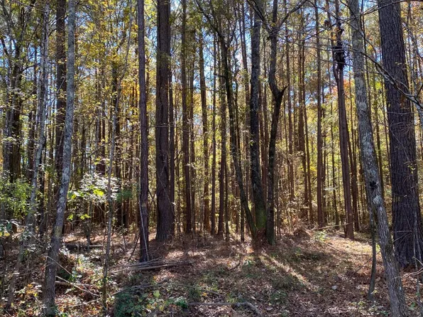 1 Allenwood Dr, Canton, MS 39046