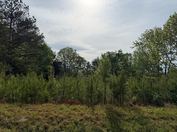 645 Ridgeview Cir, Chatsworth, GA 30705