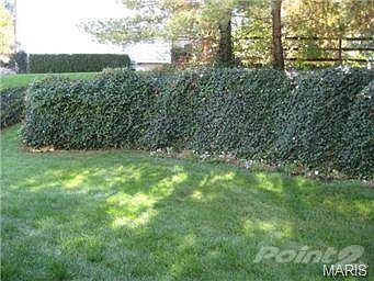 4th image of 948 Lynwood Forest Dr