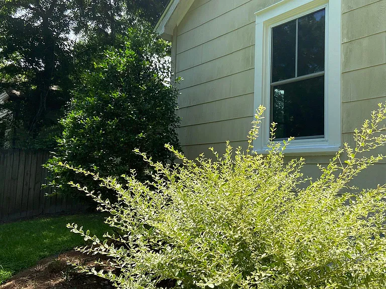 Back of House