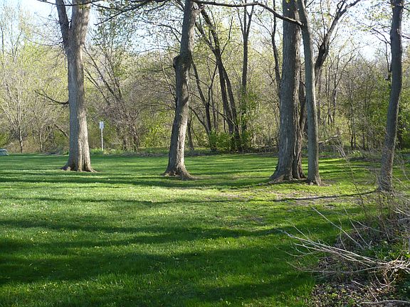Great Back Yard