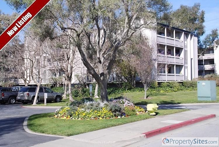 1st image of 1061 Beach Park Blvd APT 204