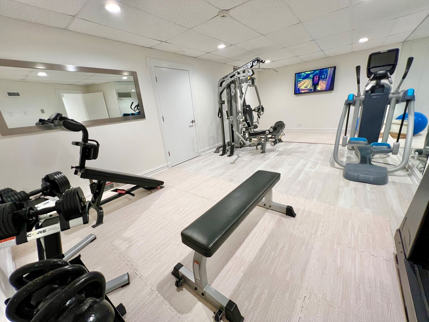  GYM WITH PELLETON PLUS & PRECOR ELLIPTICAL