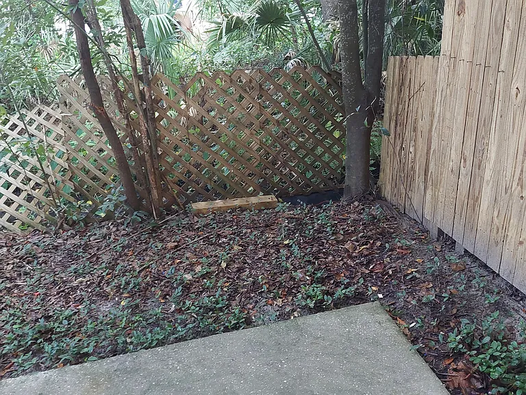 Back Patio