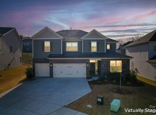 16163 Flame Azalea Ct, Charlotte, NC 28278