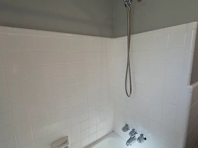Tub/Shower Combo