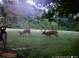 1150 Noel Martin Rd, Sandy Ridge, NC 27046