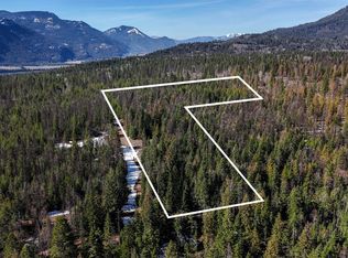 55 Tanzanite Ln, Clark Fork, ID 83811