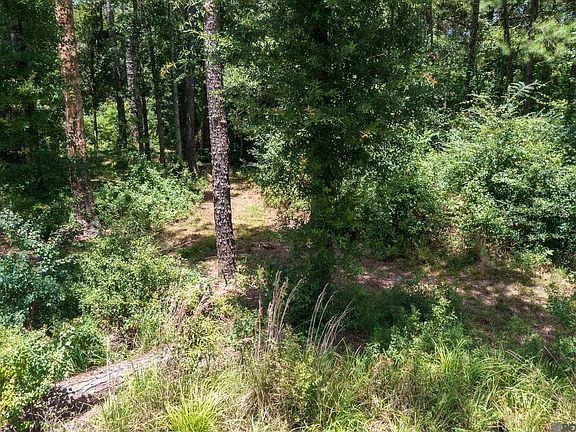 4th image of 37405 Reinninger Rd