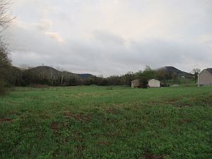 5th image of Highway 221 N