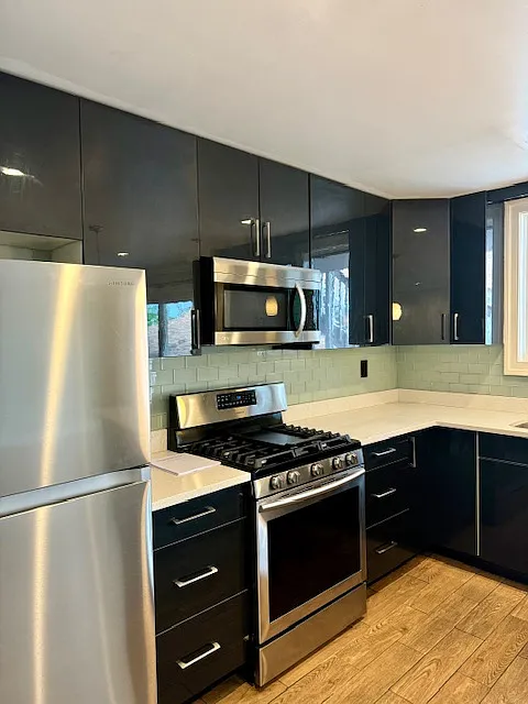 2 bed, 900 sqft, $1,325 — Photo 3