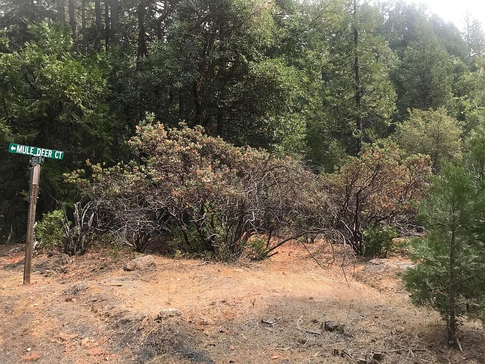 1st image of 19425 Creek Dr