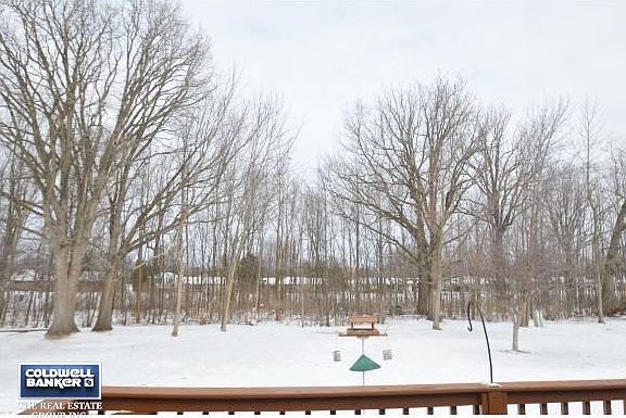 Back yard overlooking creek