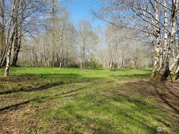 0 Tuffree Road, Hoquiam, WA 98550