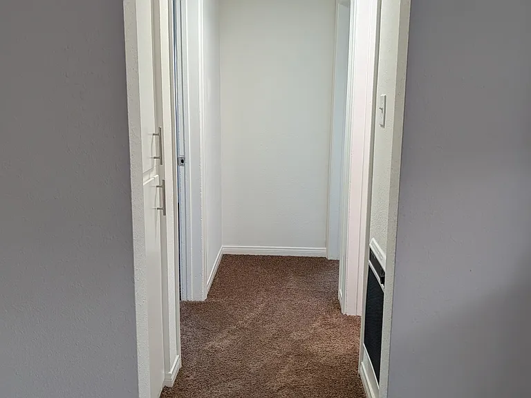 16405 Cornuta — Photo 7