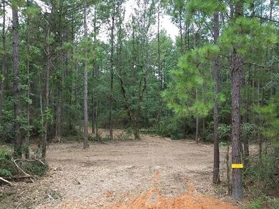 TRACT C Whiskey Ln LOT C, Tickfaw, LA, 70466